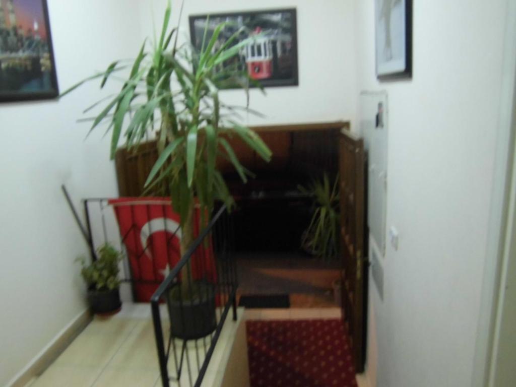Cinar Hotel Αττάλεια Εξωτερικό φωτογραφία